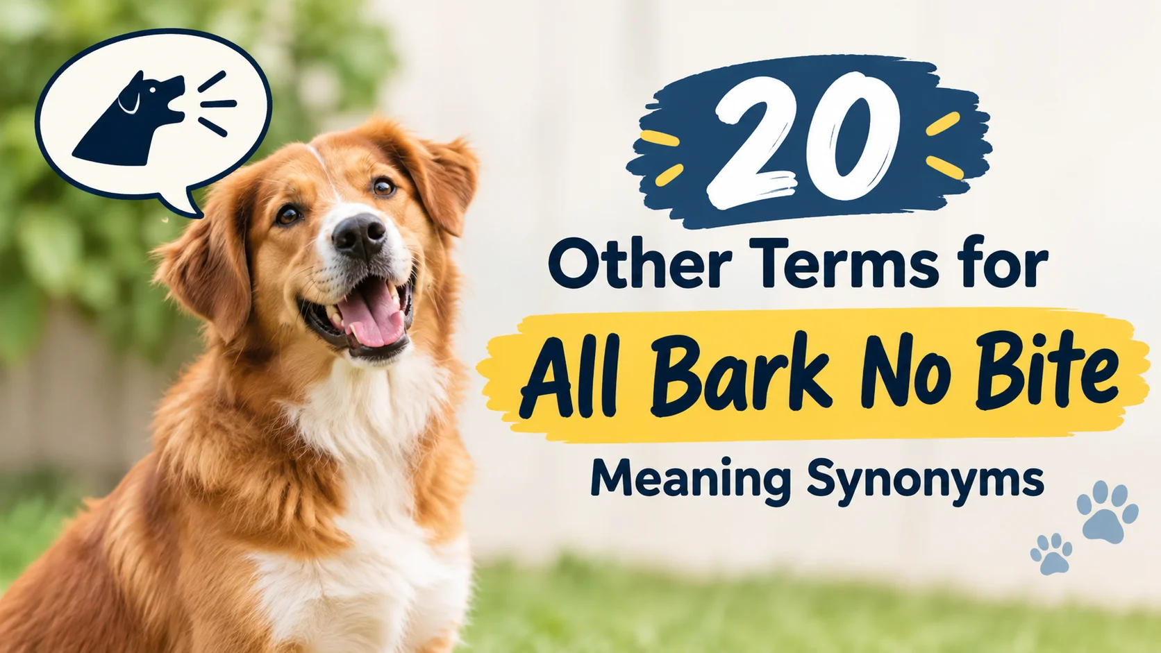 Other Terms for All Bark No Bite Meaning Synonyms